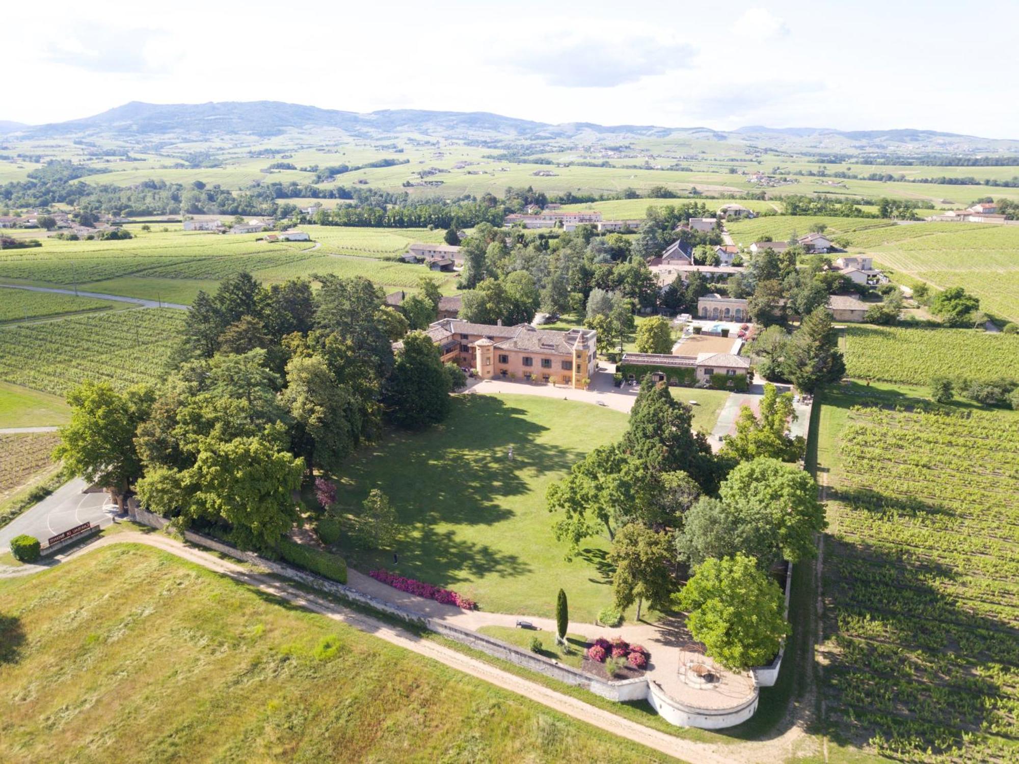 Chateau De Briante Saint-Lager Exterior foto